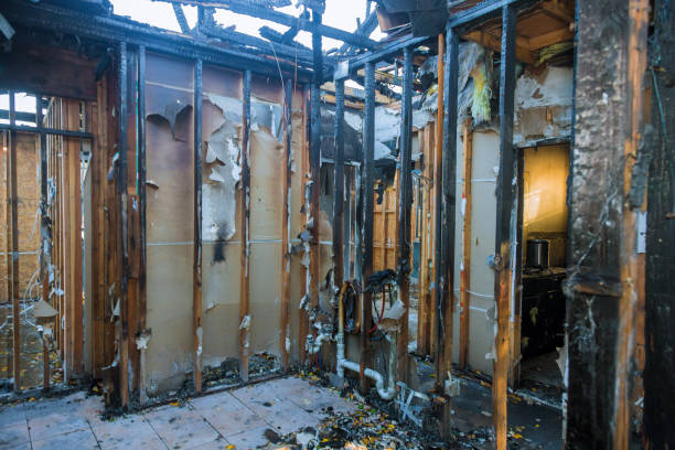 Professional Fire Damage Repair technician working in Terra Bella, CA